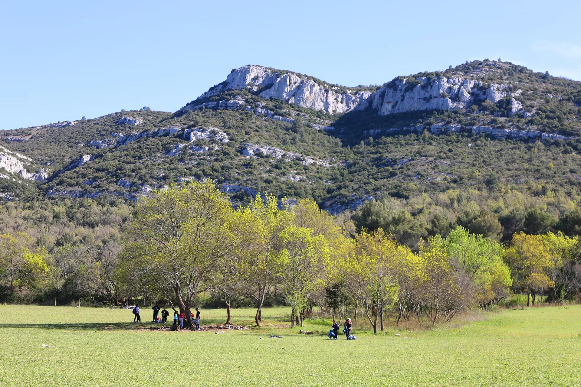 Parc départemental de Pichauris