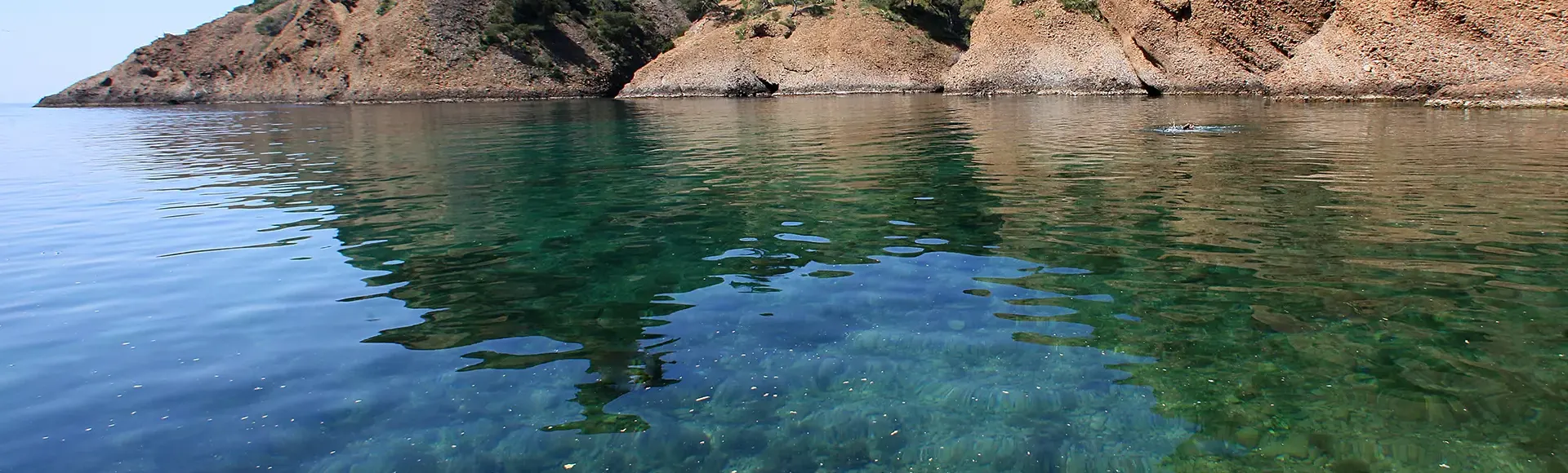 Nettoyage du rivage à la Ciotat