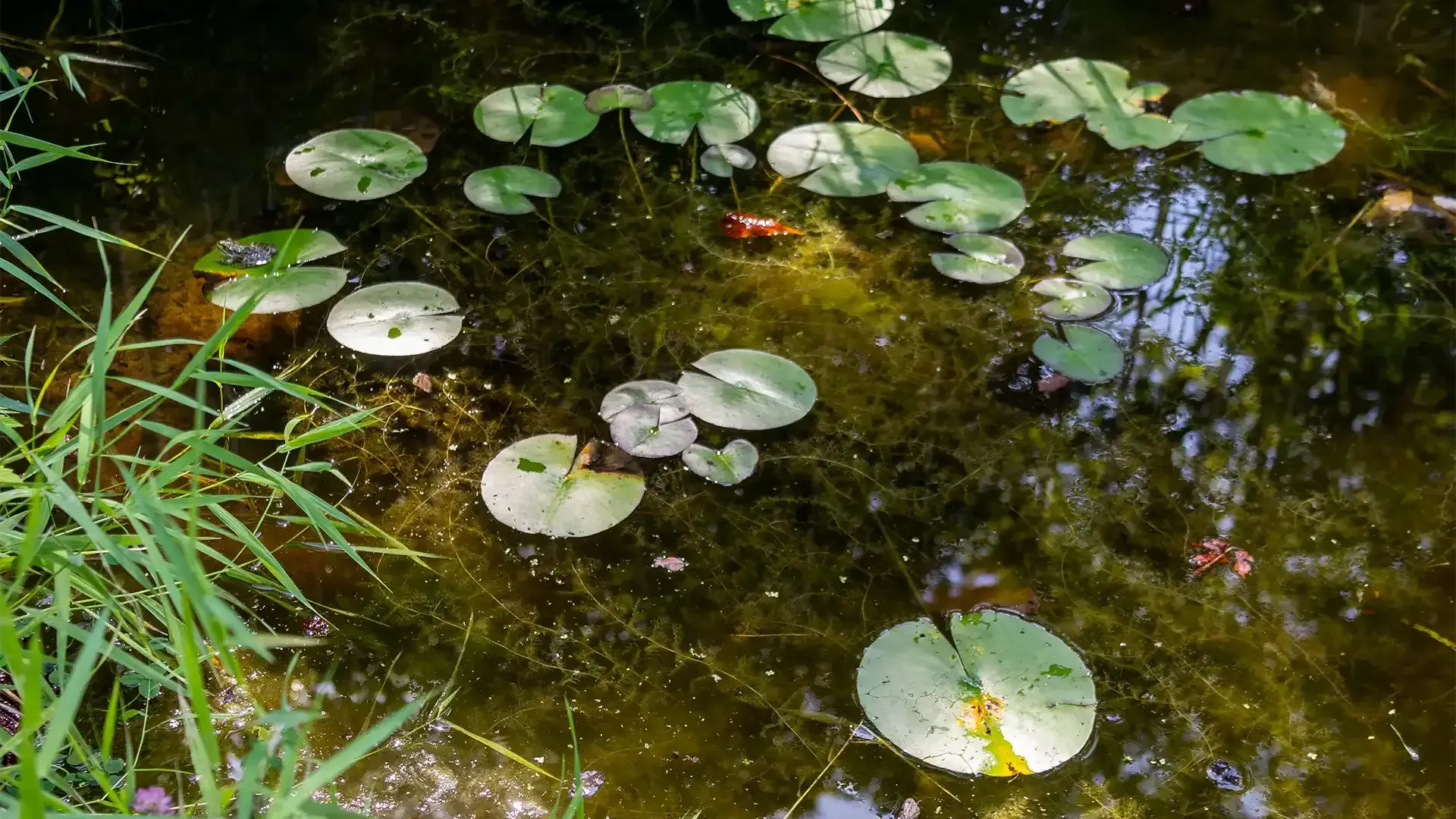 Préserver les ressources en eau