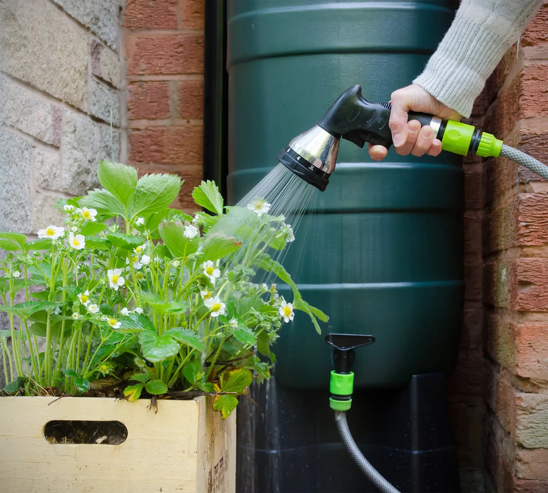 Arroser ses fleurs avec la récupération d'eau de pluie