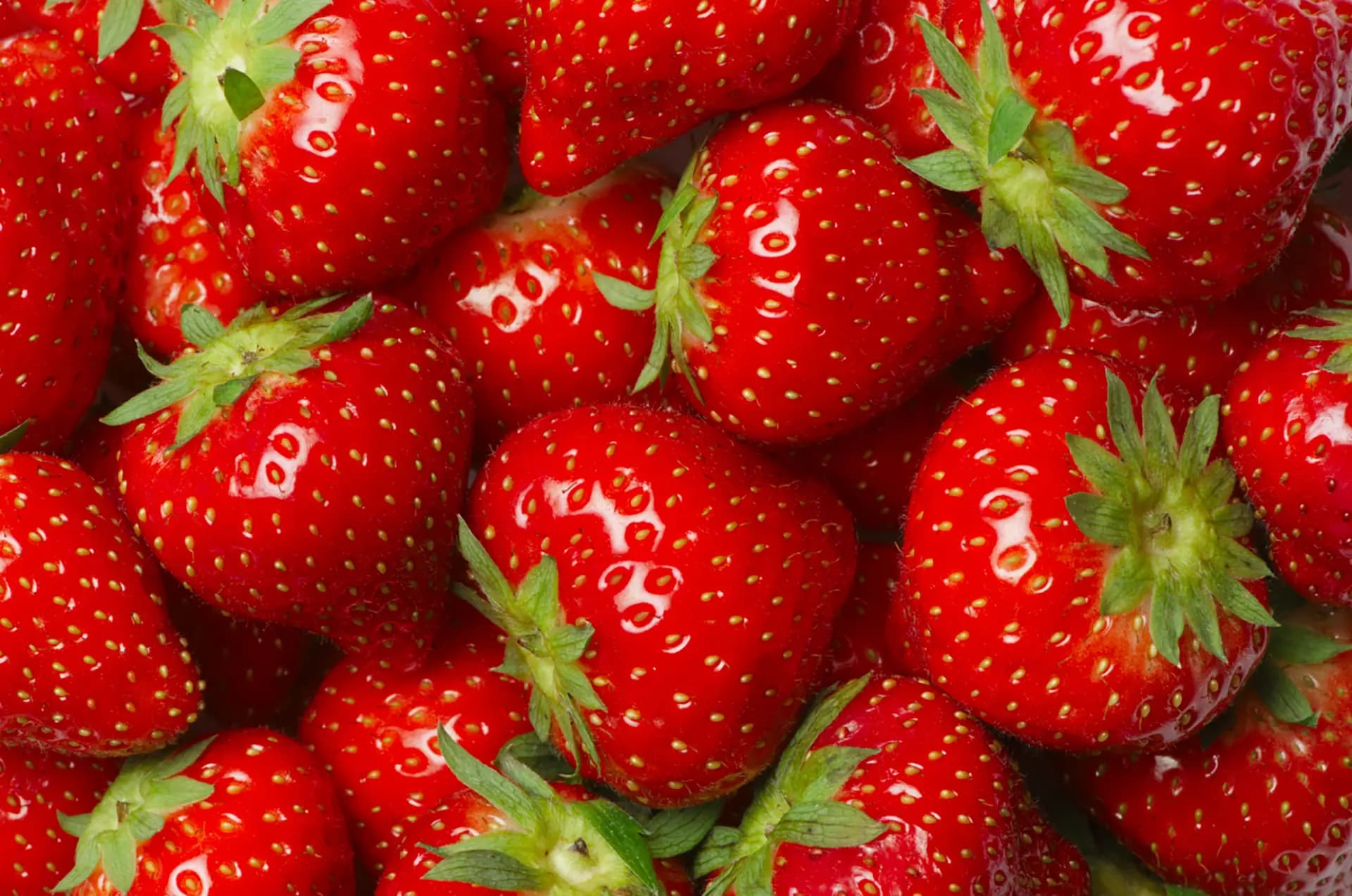 Les fraises, fruits de saison